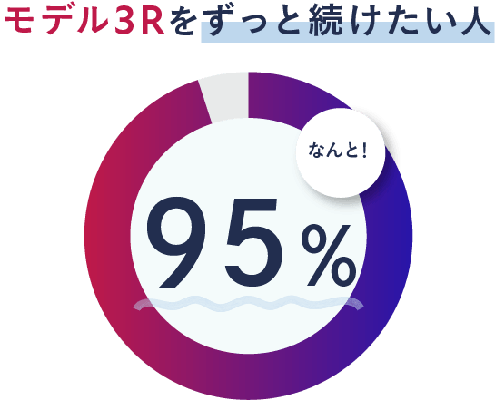 モデル3Rをずっと続けたい人 95%