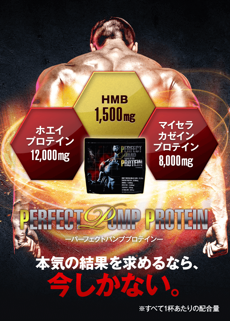 PERFECT PUMP PROTEIN パーフェクト パンプ プロテイン